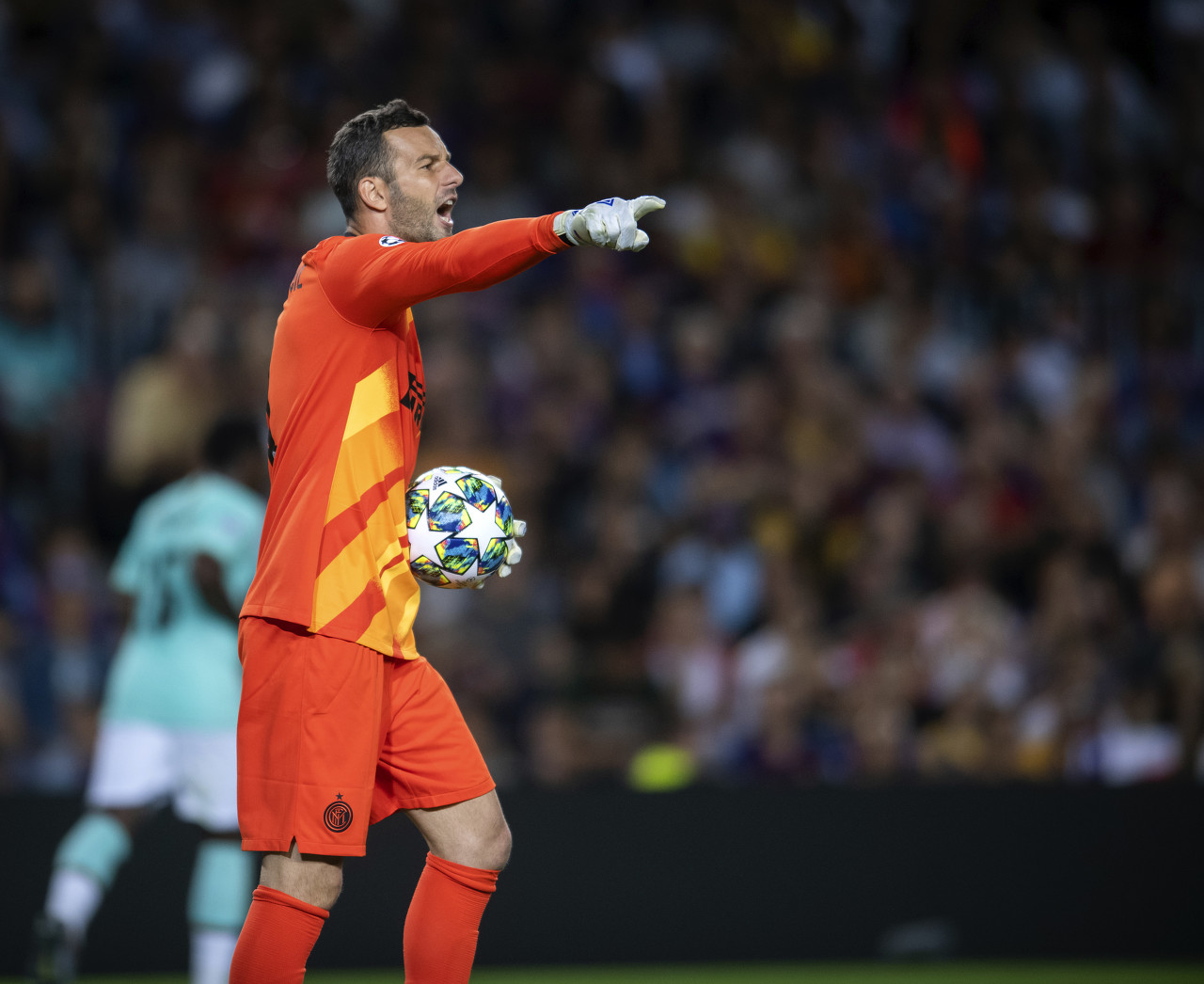 来为你写 来为你写